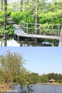 ハンブルク 植物園 ハンブルク 植物園
