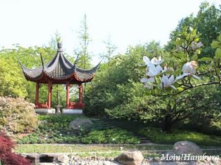 ハンブルク 植物園
