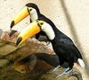 Weltvogelpark2.jpg